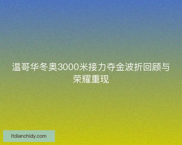 温哥华冬奥3000米接力夺金波折回顾与荣耀重现